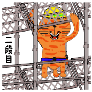 Scaffoid shop of the cat 2