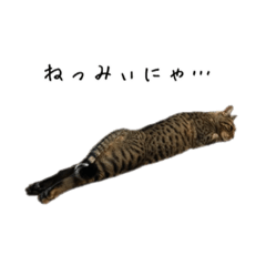 imo_20210326091340