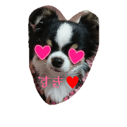 KaLBi3