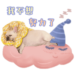 咪咕哥哥專屬