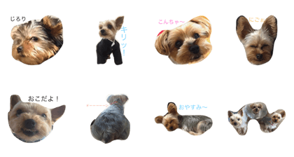 hiroshi.yuzu.mugi