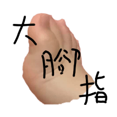 大腳指