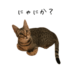 imo_20210326080845