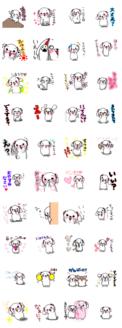 Ok Maltese(Iyo Marui)