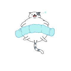 Boggy cat