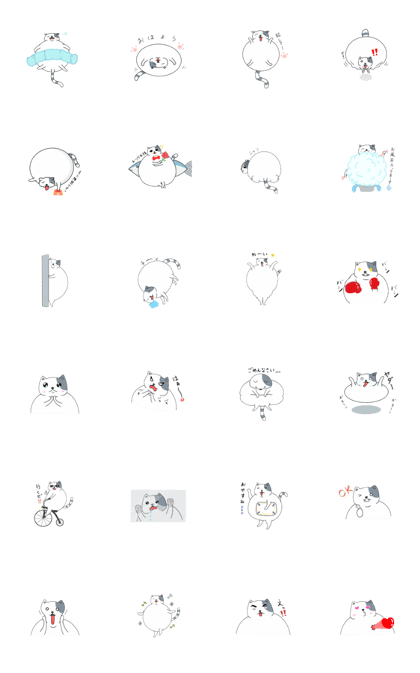 Boggy cat
