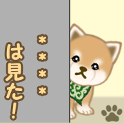 Puppy of Mameshiba 12custom