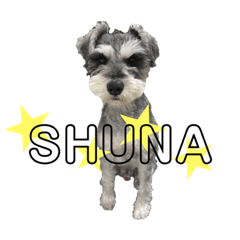 SHUNA STICKER