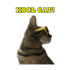 imo_20210326121455