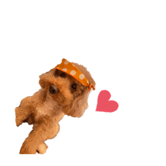 Saori_20210326121317