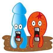 Ocean party-Squid is you First series