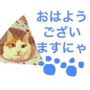 photo stamp mon the cat