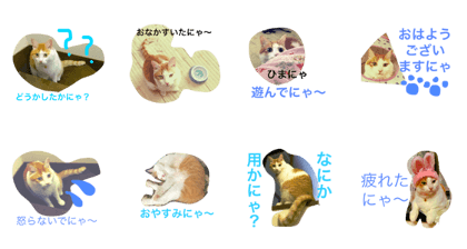 photo stamp mon the cat