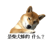 Shiba Inu is Let me also speak! 2