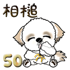 シーズー犬50『あいづち』