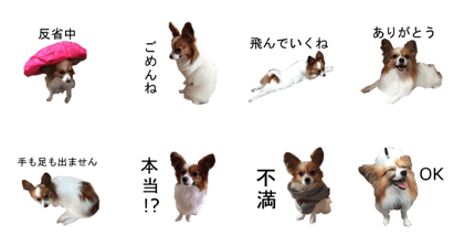 Sticker of my DOG