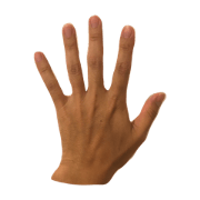 hands of Hiramatsu
