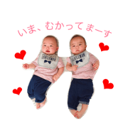 sakusei