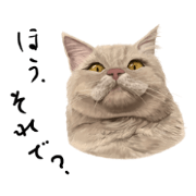 almostrealcats sticker
