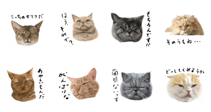 almostrealcats sticker