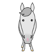 NO LIFE NO HORSE (1)