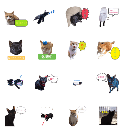 Cats of Tanaka family