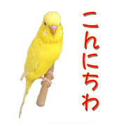 Bird's Live action Sticker