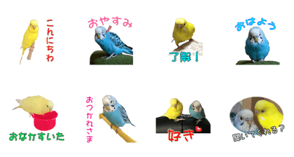Bird's Live action Sticker