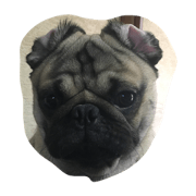 moguopug