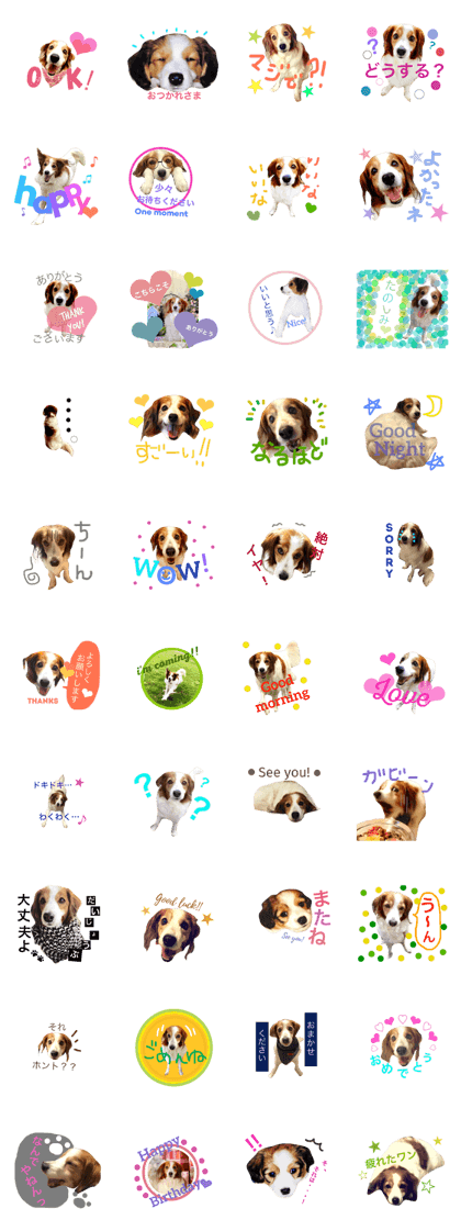 Kooiker Hondje pom's stamp