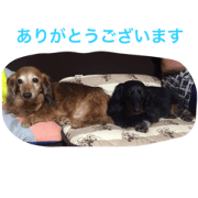 nana.mini-.