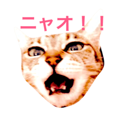 私の独り言 Line スタンプ Line Store