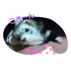 Rei_20210326160157