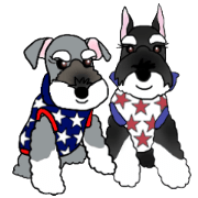 Japanese Miniature Schnauzer: Pon & Mei