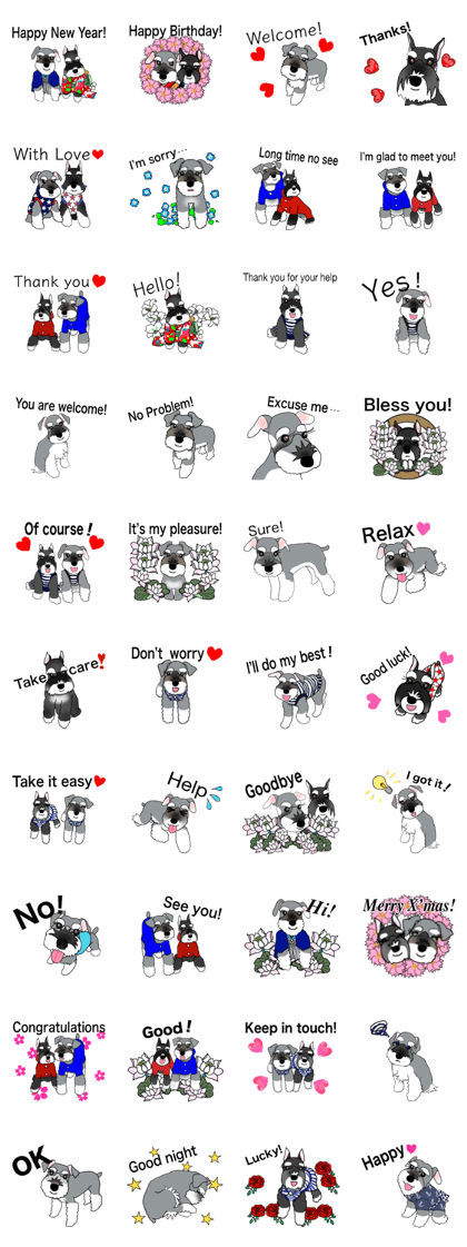 Japanese Miniature Schnauzer: Pon & Mei