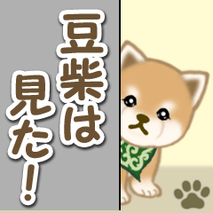 Puppy of Mameshiba 12