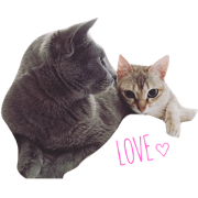 nohea&lua