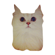 Cher chan 2