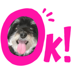 MOMOMOMOMOCA