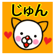 Jiyun premium name sticker.