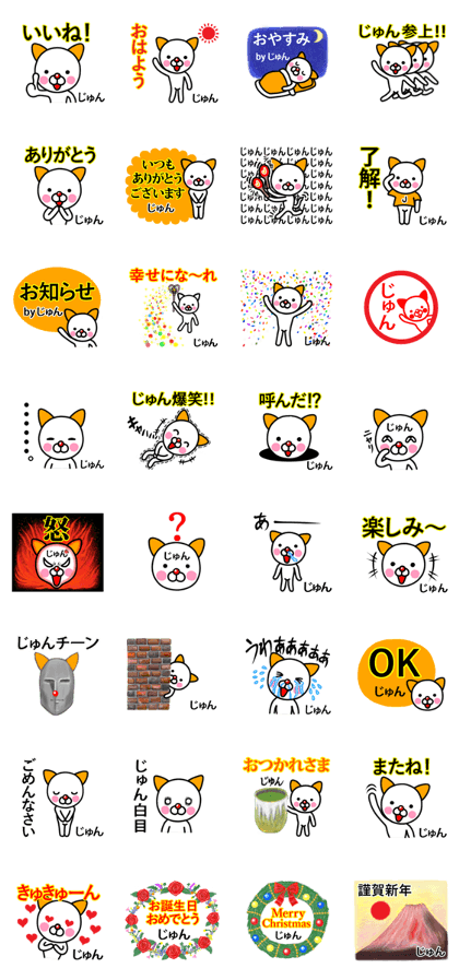 Jiyun premium name sticker.