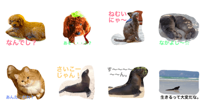 Animals in the world
