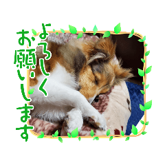 ayumi_20210326181009