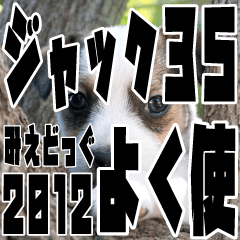 MIEDOG Jack Russell terrier sticker 35