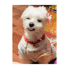 Asuka_20210326194015