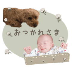 Poochan__coton sticker