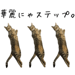 imo_20210326201851