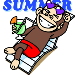 Crazy Funky Monkey Summer