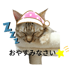 Ringo_20210326223751