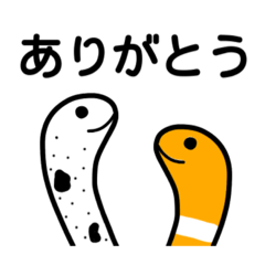Chi_Ni_anagosan.